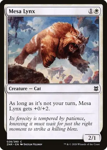 Mesa Lynx · 28