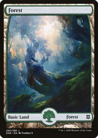 Forest · 280