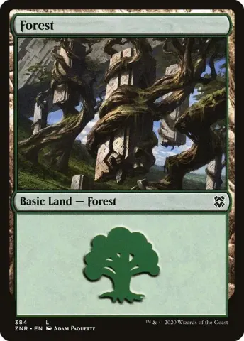 Forest · 384