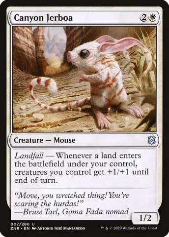 Canyon Jerboa · 7