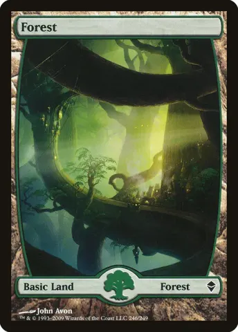 Forest · 246