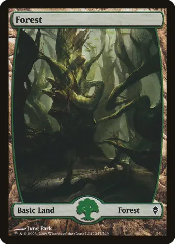 Forest · 247