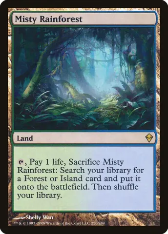 Misty Rainforest · 220