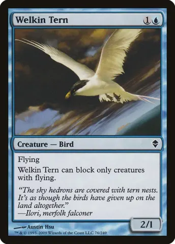 Welkin Tern · 76