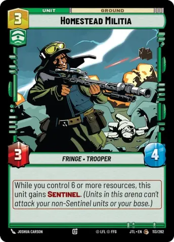 Homestead Militia · 113