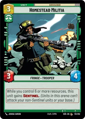 Homestead Militia · 113