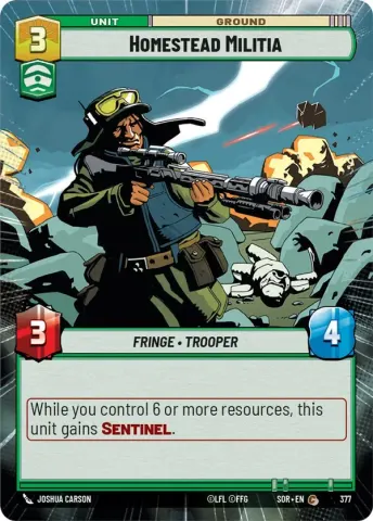 Homestead Militia · 377