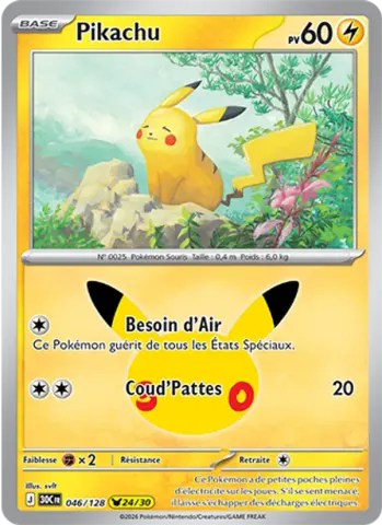 Pikachu · 046