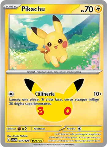 Pikachu · 047