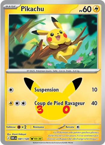 Pikachu · 041