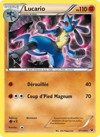Lucario · 47