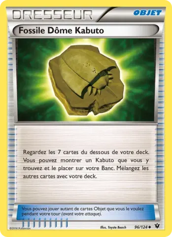 Fossile Dôme Kabuto · 96