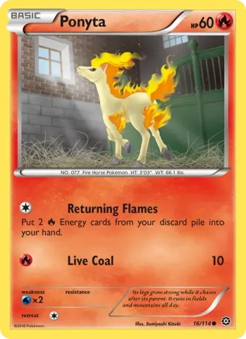 Ponyta · 16