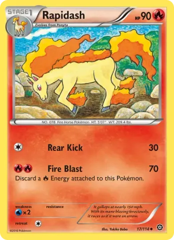 Rapidash · 17