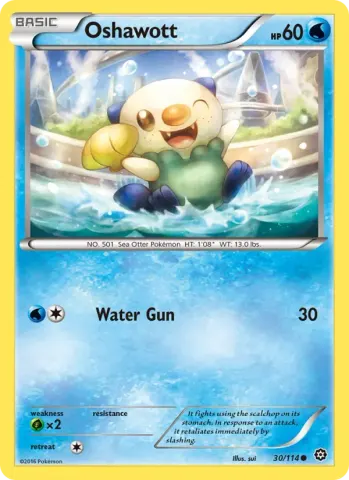 Oshawott · 30