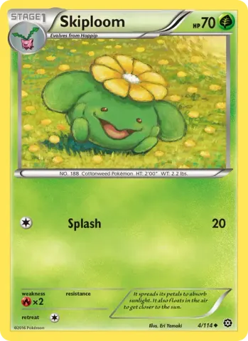 Skiploom · 4