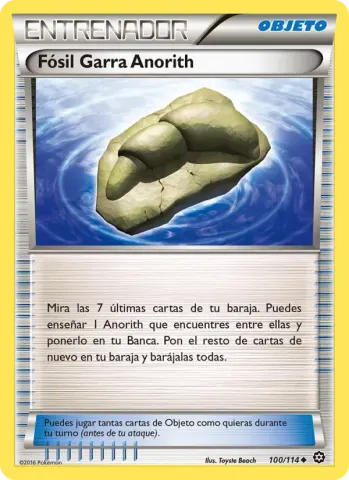 Fósil Garra Anorith · 100
