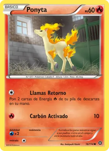 Ponyta · 16