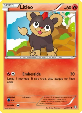 Litleo · 22