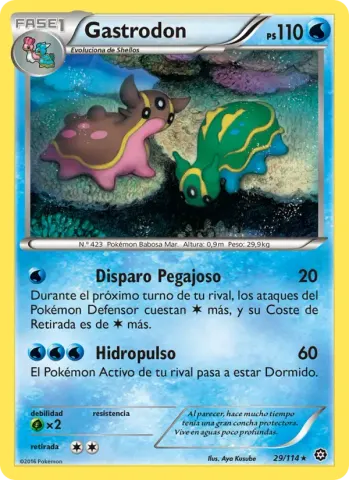 Gastrodon · 29