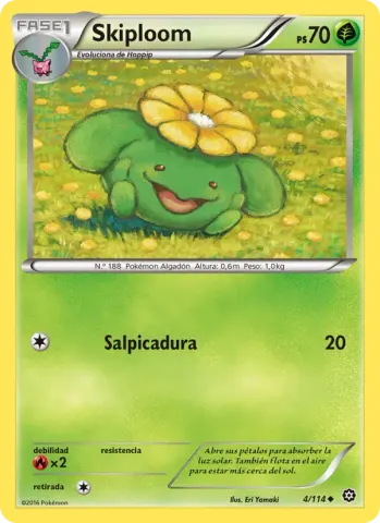 Skiploom · 4