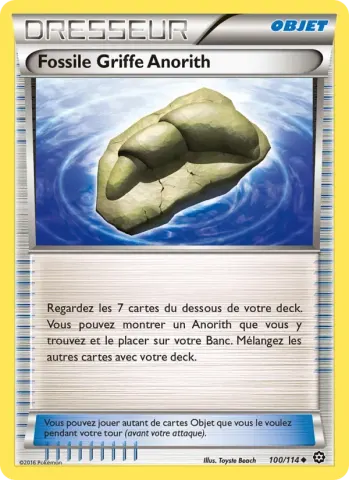 Fossile Griffe Anorith · 100