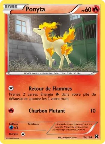 Ponyta · 16