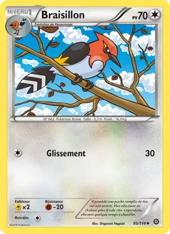 Braisillon · 95