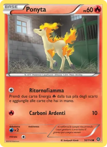 Ponyta · 16