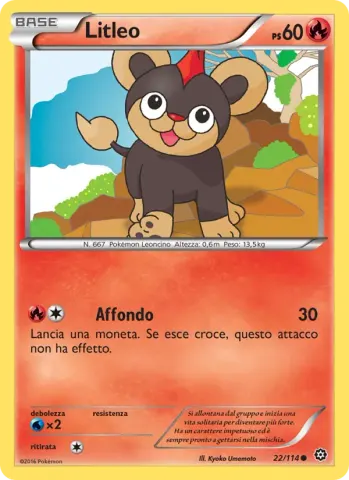 Litleo · 22