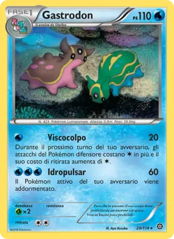 Gastrodon · 29