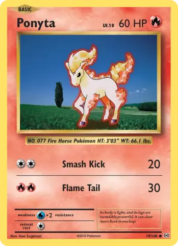 Ponyta · 19