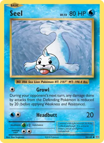 Seel · 28