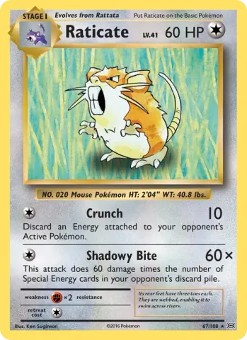 Raticate · 67