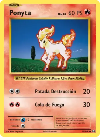 Ponyta · 19
