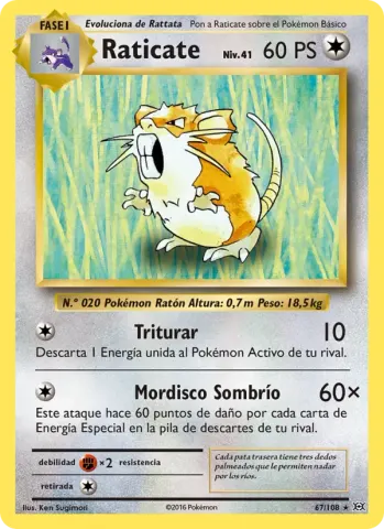 Raticate · 67