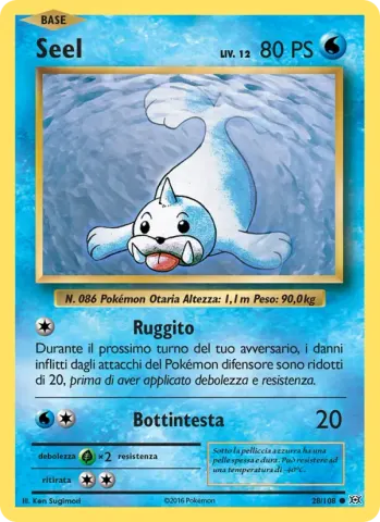Seel · 28