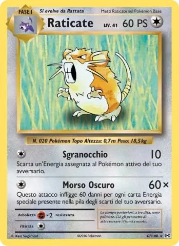 Raticate · 67