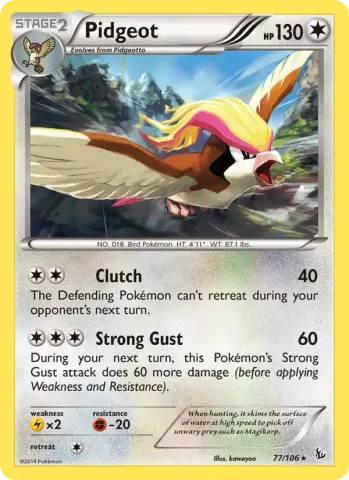 Pidgeot · 77