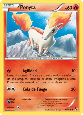 Ponyta · 14