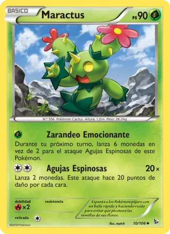 Maractus · 10