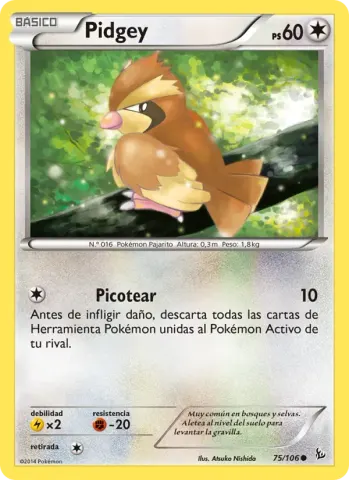 Pidgey · 75