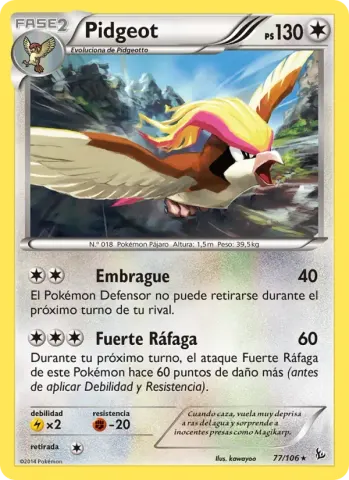 Pidgeot · 77