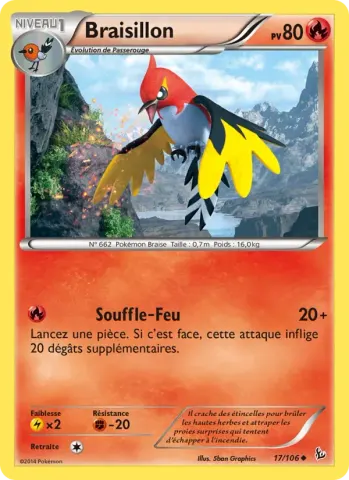 Braisillon · 17