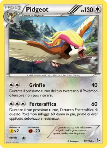 Pidgeot · 77
