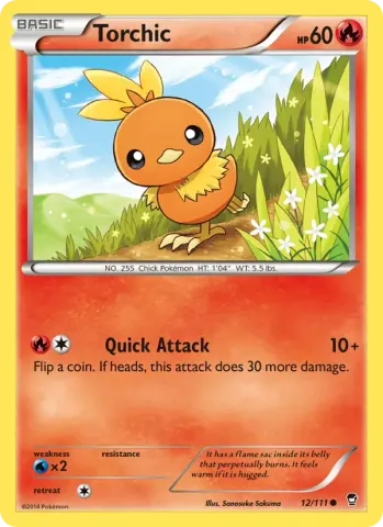 Torchic · 12