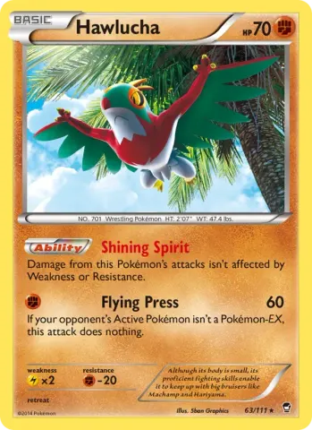 Hawlucha · 63