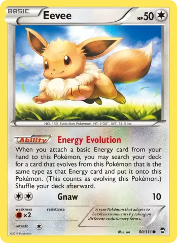 Eevee · 80