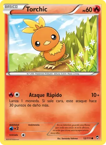 Torchic · 12