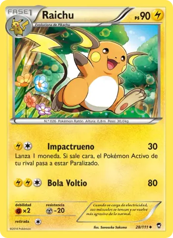 Raichu · 28